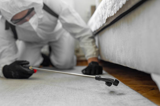 Professional Cockroach Control technician working in Sanborn, NY